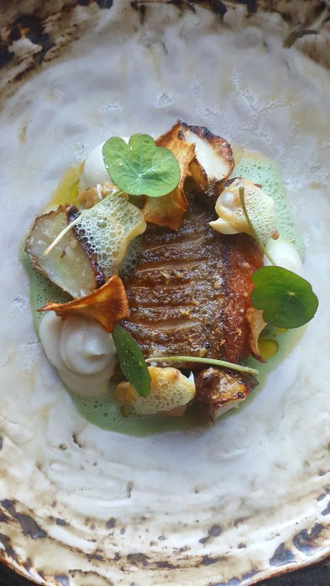 Adina Vineyard - Holiday Cairns 3