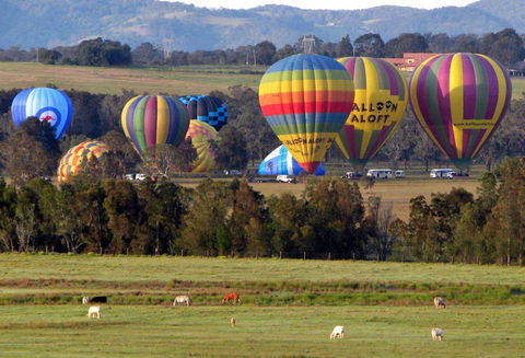 Adina Vineyard - Holiday Cairns 9