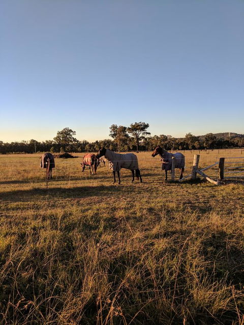 Madigan Wine Country Cottages - Holiday Cairns 8