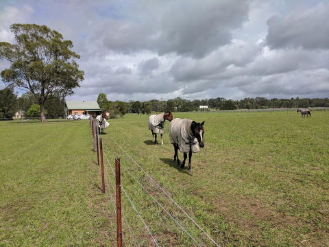 Madigan Wine Country Cottages - Holiday Cairns 9