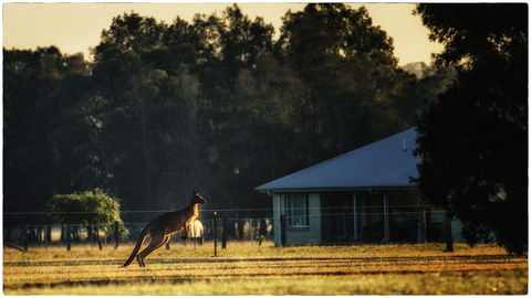 Madigan Wine Country Cottages - Holiday Cairns 5