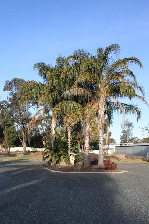 Temora Motel - Holiday Cairns 6