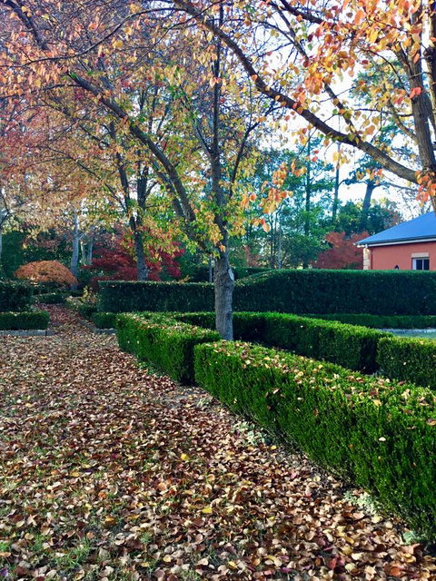 Chanticleer Gardens Barn Cottage With A Pool - Holiday Cairns 37