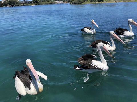 Centrepoint 10 - Holiday Cairns 8