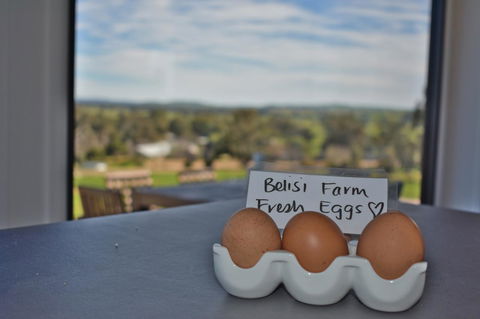 Belisi Farmstay Cottage - Holiday Cairns 20