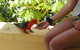 Bundanoon Lodge - thumb 4