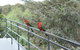 Bundanoon Lodge - thumb 7