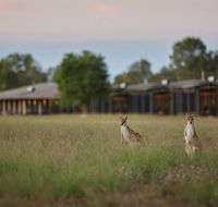 Wildman Wilderness Lodge - Holiday Cairns
