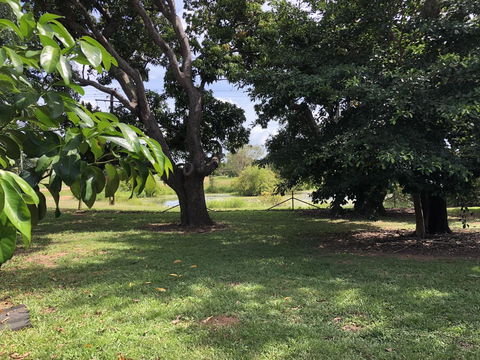 Mount Bundy Station - Holiday Cairns 4