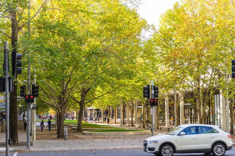 Highgate Executive Apartment City Walk Canberra - Holiday Cairns 37