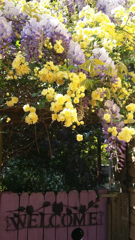 Bowral Road Bed And Breakfast - Holiday Cairns 0