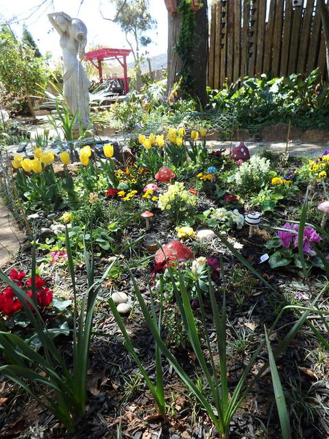 Bowral Road Bed And Breakfast - Holiday Cairns 1