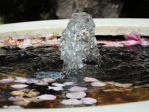 Bowral Road Bed And Breakfast - Holiday Cairns 2