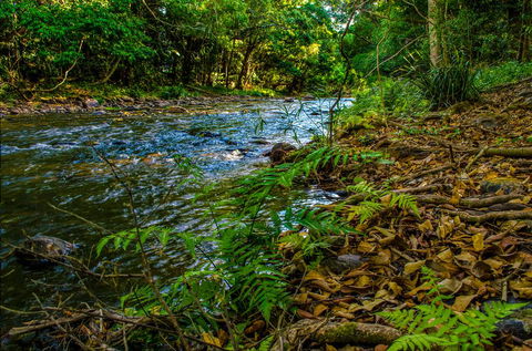 Cairns Homestead: A Peaceful Getaway - Holiday Cairns 3