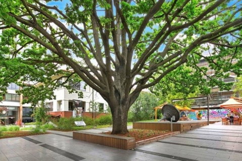 Canberra Luxury Apartment 8 - Holiday Cairns 1