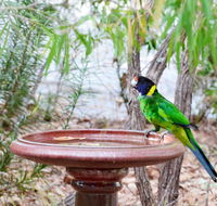 Caves Road Chalets - Holiday Cairns