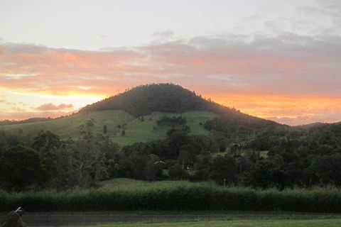 CBR Equine Cottage - Holiday Cairns 1
