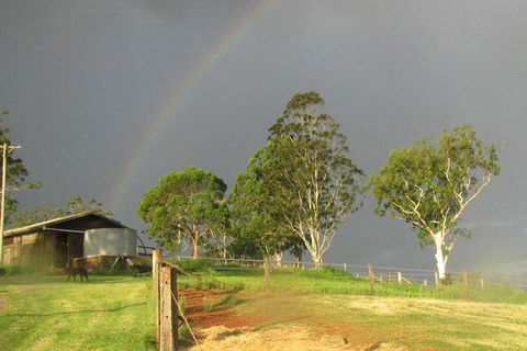 CBR Equine Cottage - Holiday Cairns 0