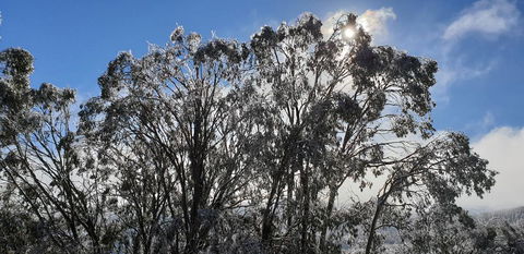 Cedarwood Apartments - Holiday Cairns 1