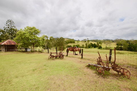 Country Breeze Farm Stay - Holiday Cairns 2