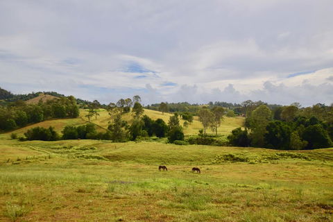 Country Breeze Farm Stay - Holiday Cairns 0