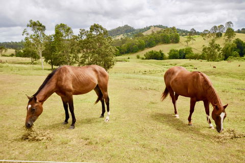 Country Breeze Farm Stay - Holiday Cairns 1