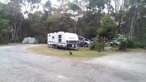 Crayfish Creek Van & Cabin Park - Holiday Cairns 0