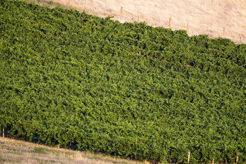 Dairyman's Cottage - Holiday Cairns 1