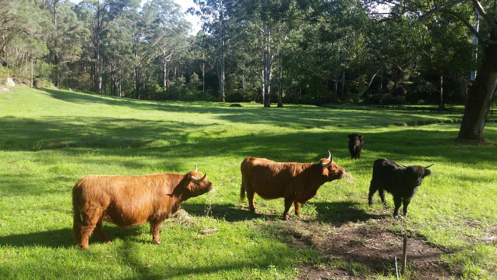 Annangrove NSW Holiday Cairns