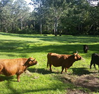 Dingley Dell - Holiday Cairns