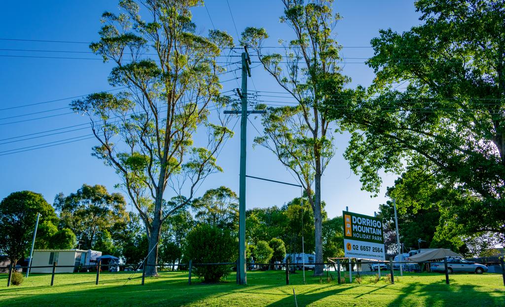 Dorrigo NSW Holiday Cairns