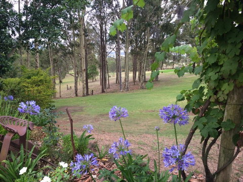Elfin Hill Vineyard Accommodation - Holiday Cairns 2