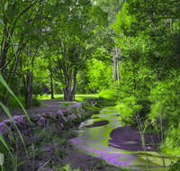 Esk Caravan Park  Rail Trail Motel - Holiday Cairns