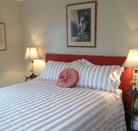 Every Man and His Dog Vineyard - Holiday Cairns