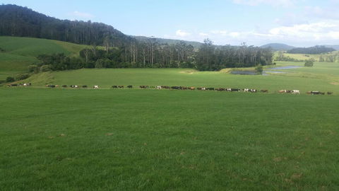 Farm Golf - Holiday Cairns 2