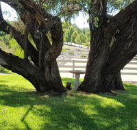 Farm Stay Studio - Holiday Cairns