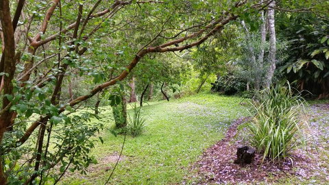 Forest View Bungalow - Holiday Cairns 1