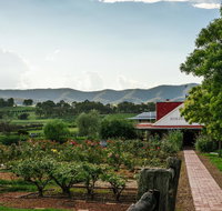 Hanging Tree Wines - Holiday Cairns