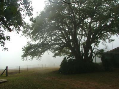 Hillview Cottages - Holiday Cairns 3