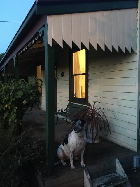 Kaikora Seaside Cottage - Holiday Cairns 1
