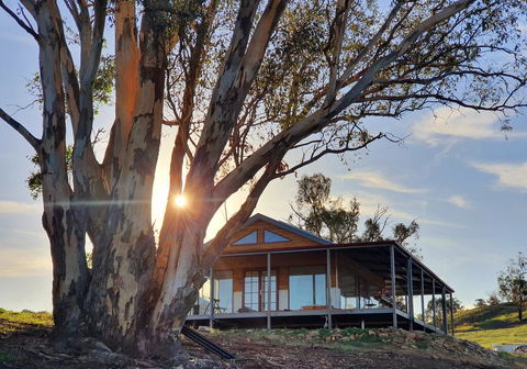 Kestrel Nest EcoHut - Holiday Cairns 0
