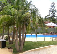 Koala Tree Motel - Holiday Cairns