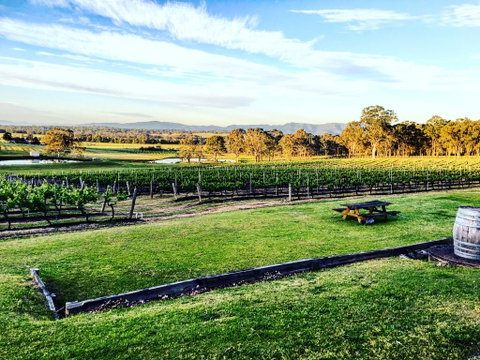 Molly Morgan Vineyard - Holiday Cairns 1