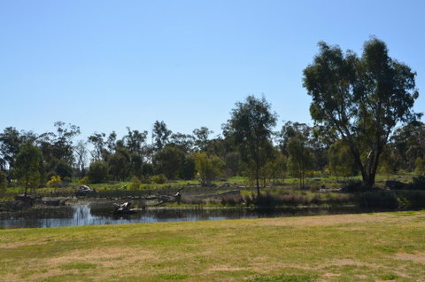 Murrord Wetlands - Holiday Cairns 2
