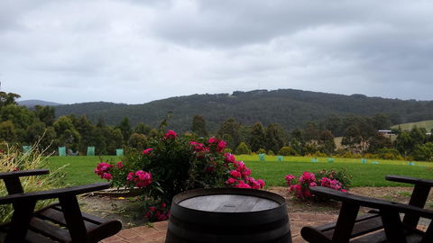 Karri Aura - Holiday Cairns 3