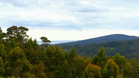 Karri Aura - Holiday Cairns 10