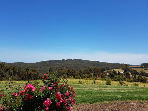 Karri Aura - Holiday Cairns 9