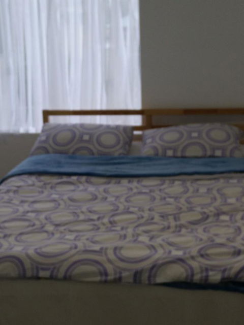 DIANELLA Budget Rooms Happy Place To Stay - Holiday Cairns 24