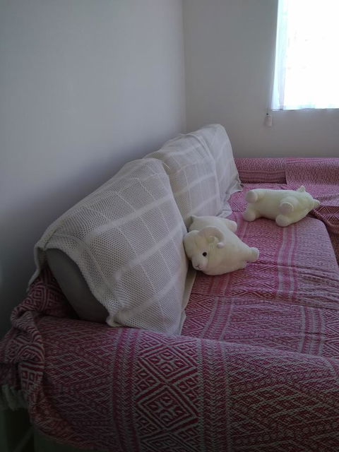 DIANELLA Budget Rooms Happy Place To Stay - Holiday Cairns 29