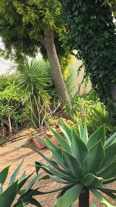 Armadale Cottage Bed & Breakfast - Holiday Cairns 1